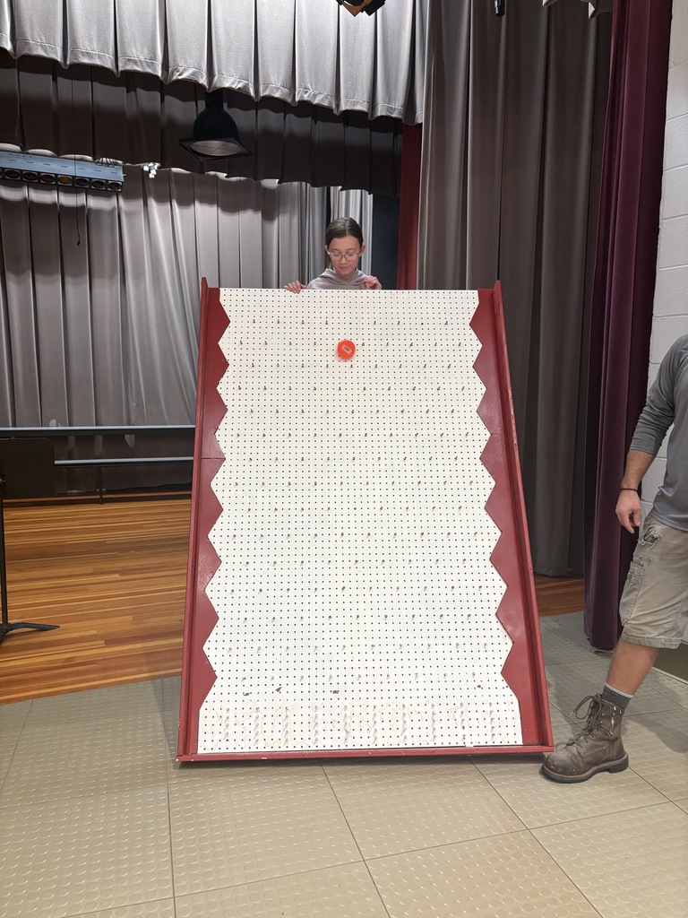Plinko board