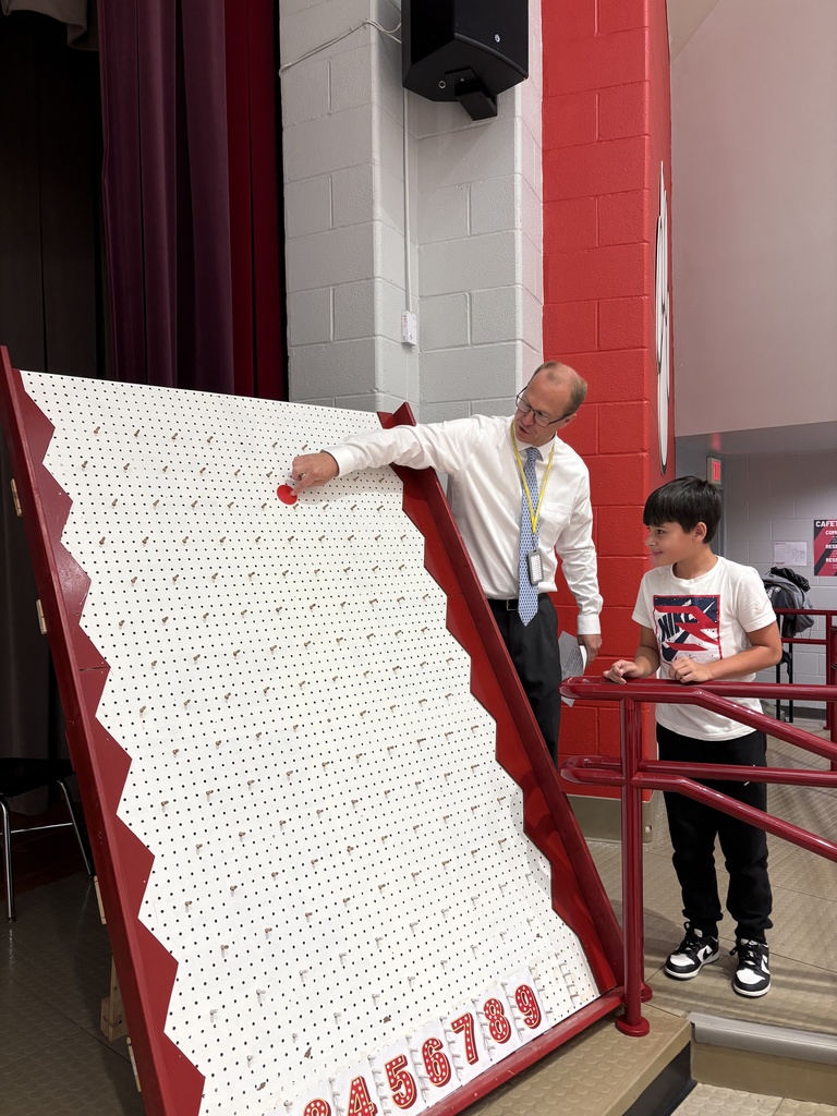 Plinko board