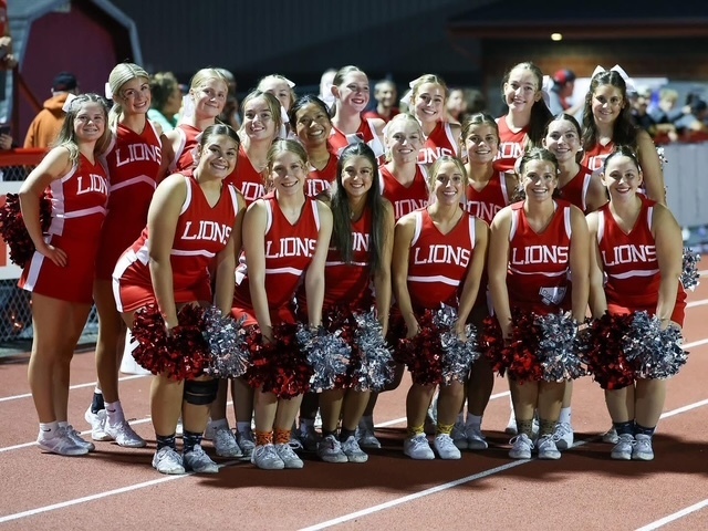 lions