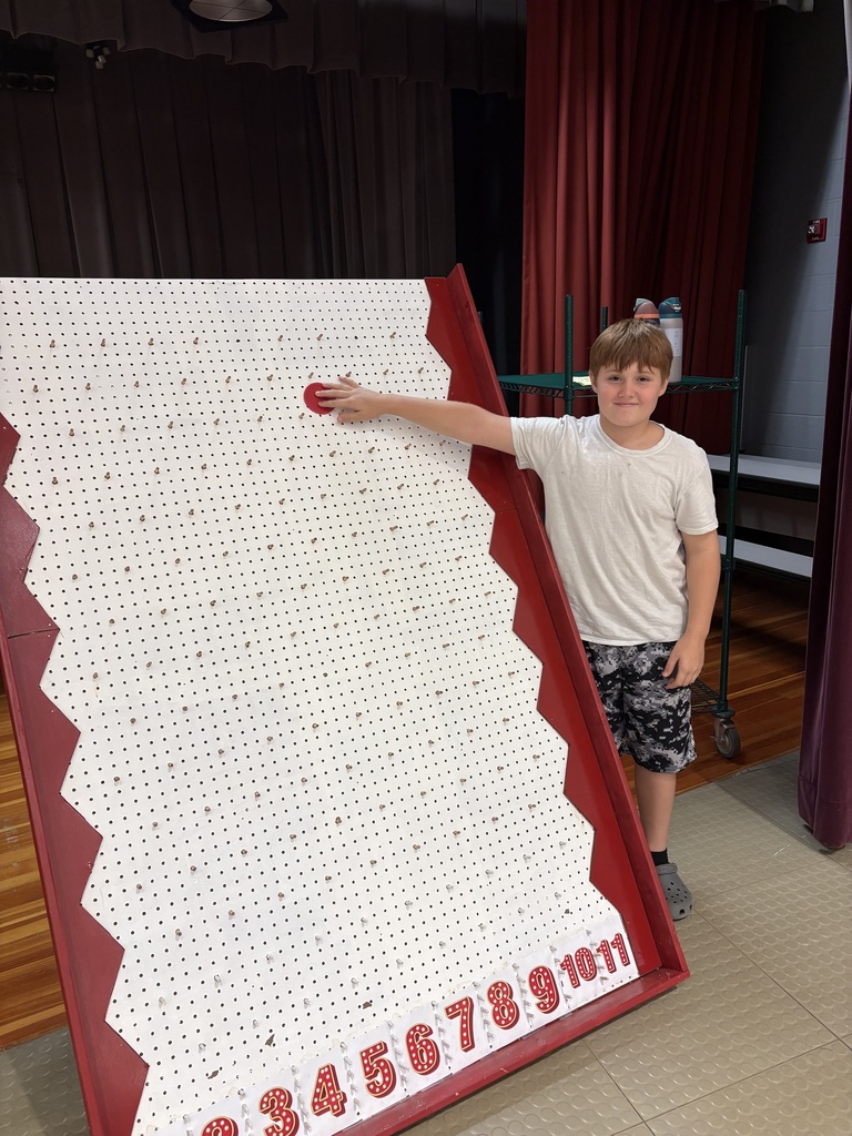 Plinko board