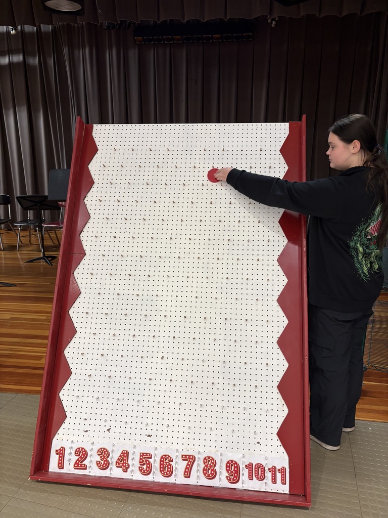 Plinko board