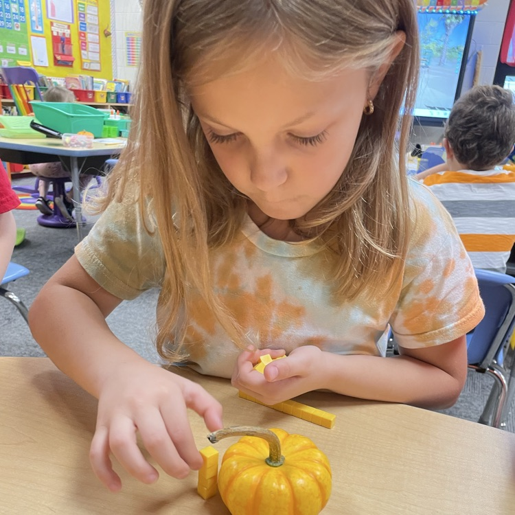 pumpkin 🎃