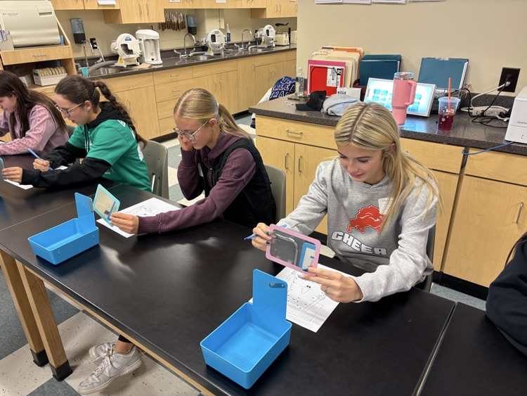 Sophomore Drage Trip