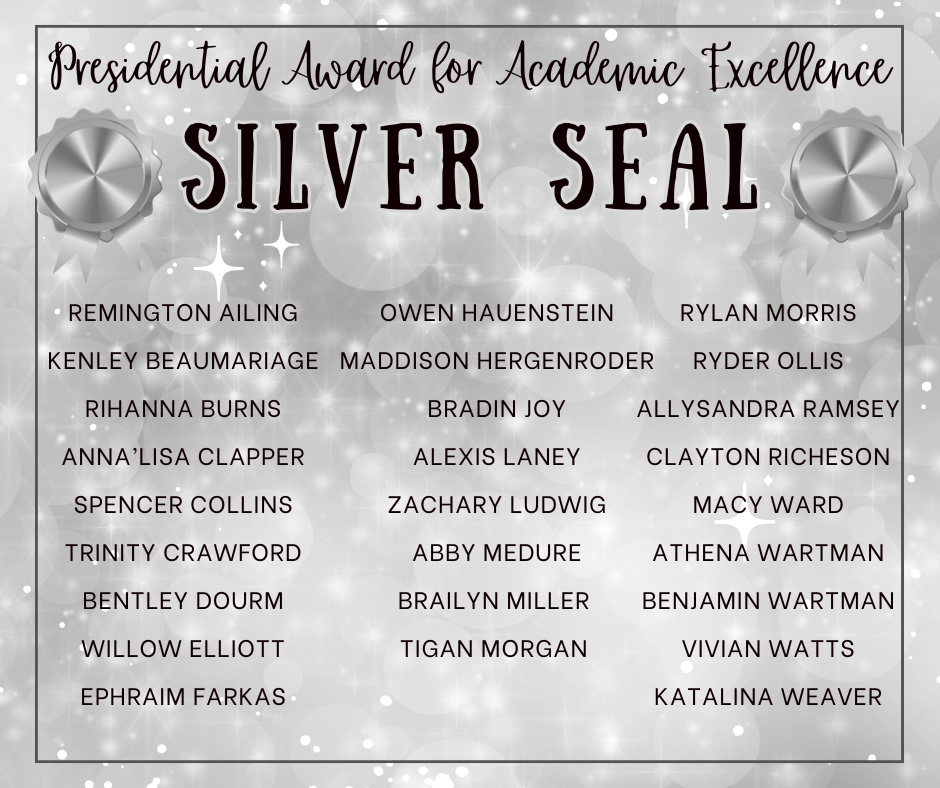 Silver Award 