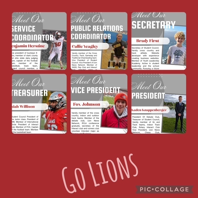 LIONS