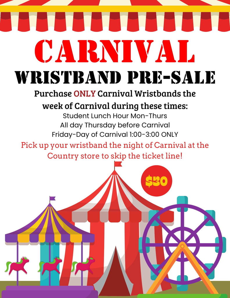 Carnival Wristband Pre-Sales