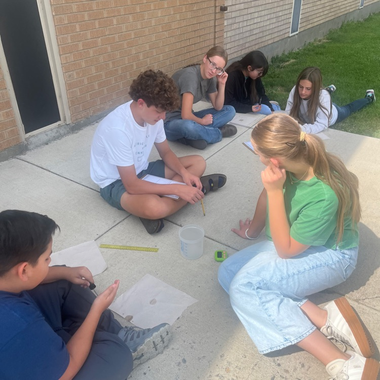 Mrs. Cook lab 