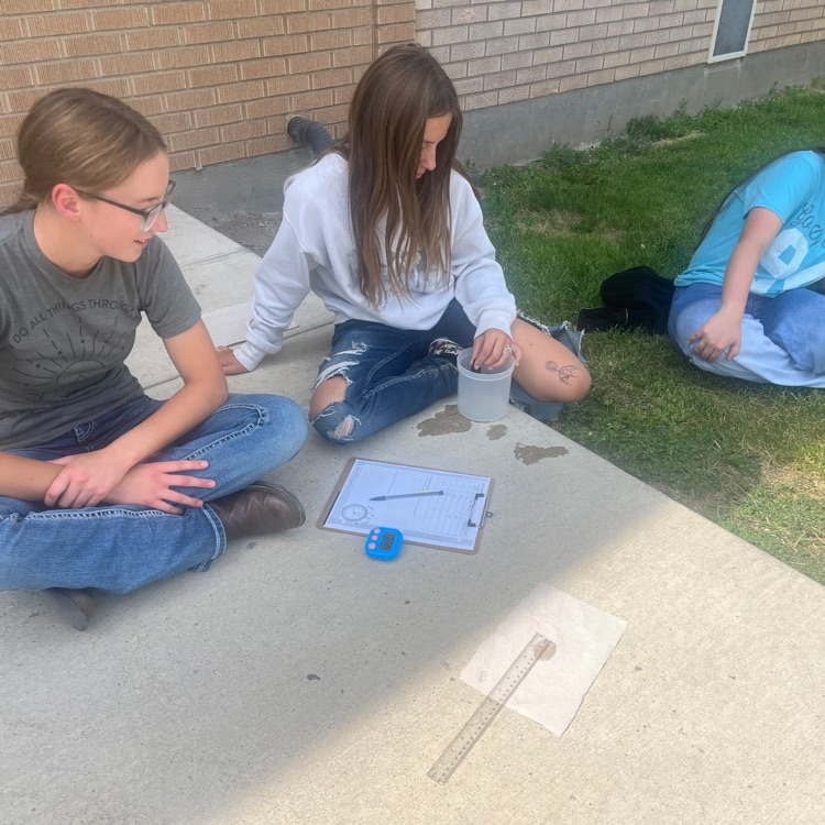 Mrs. Cook lab 