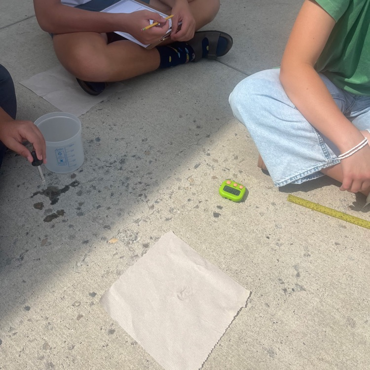 Mrs. Cook lab 