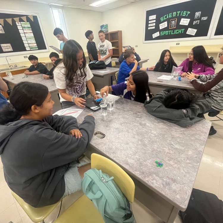 Mrs. Cook lab 