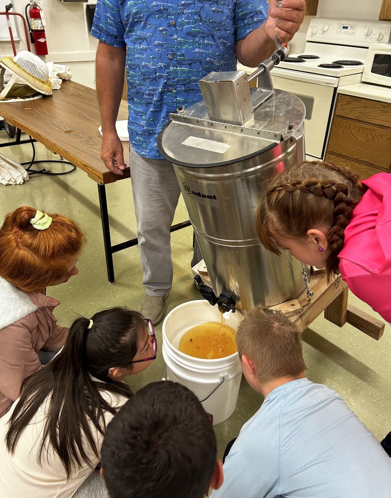Extracting honey at east minico