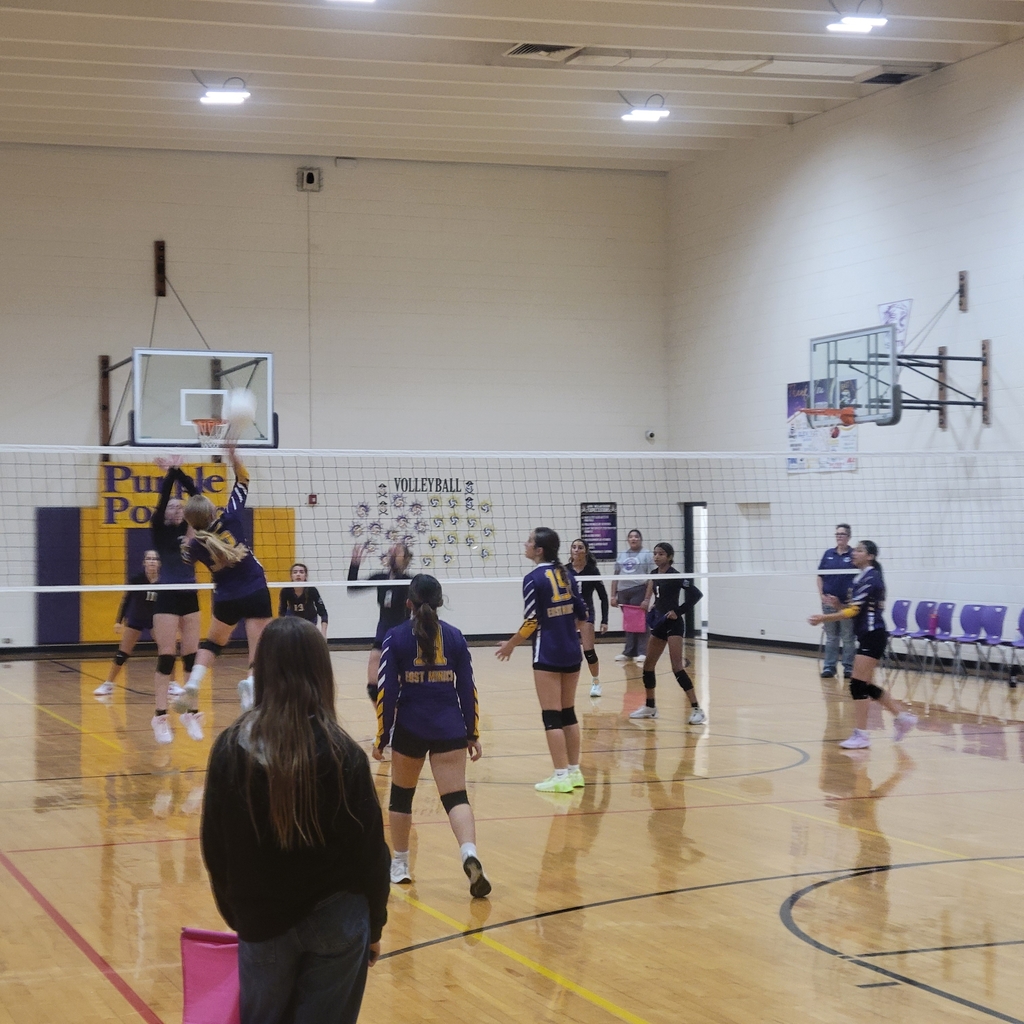8th grade East Minico volleyball 