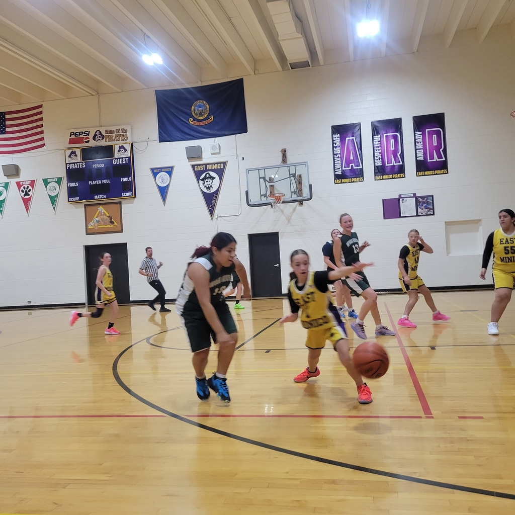 girls basketball East vs Wood River 