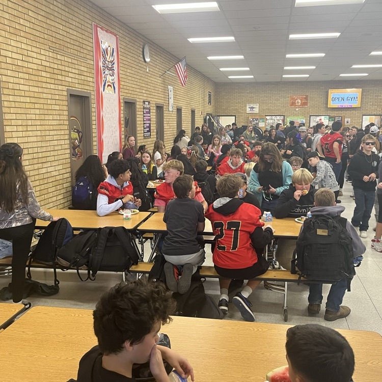 2025 Super Bowl winner 