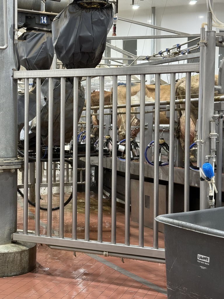 2026 Dairy Field Trip