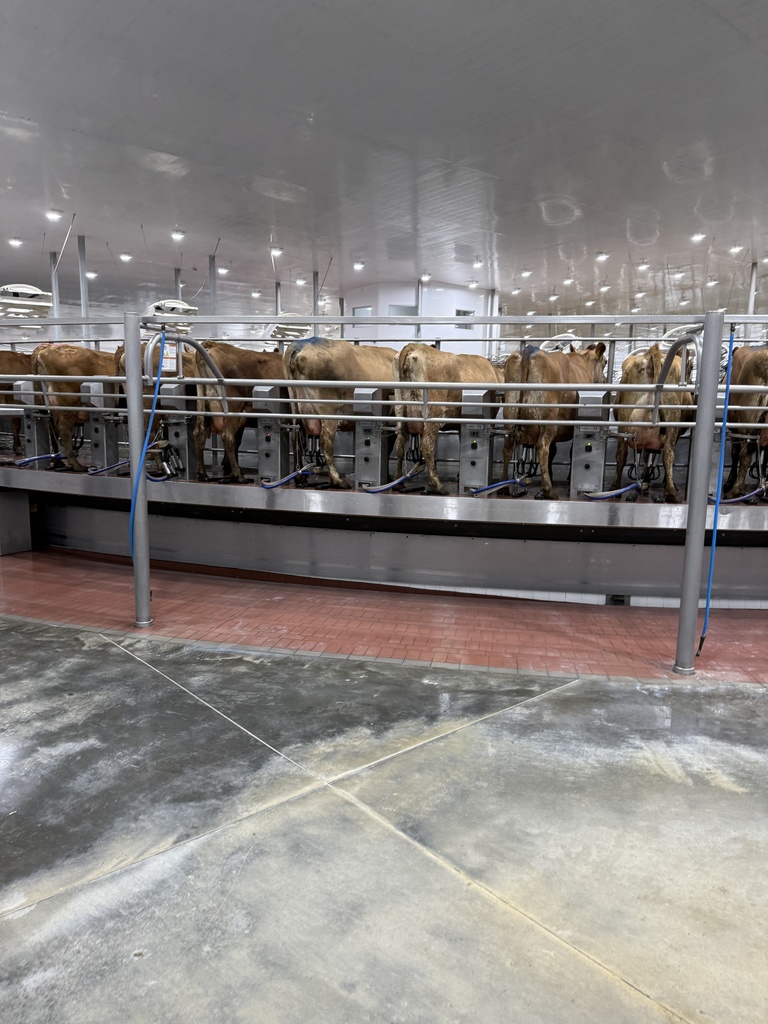 2026 Dairy Field Trip