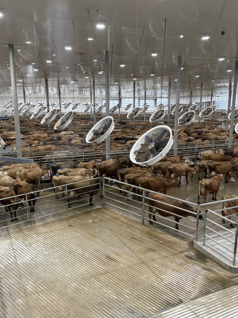 2026 Dairy Field Trip