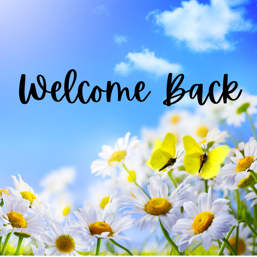 Welcome Back