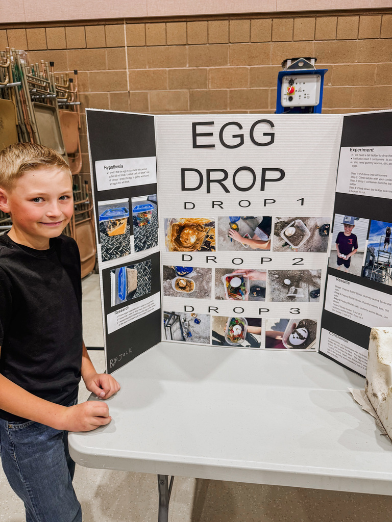 egg