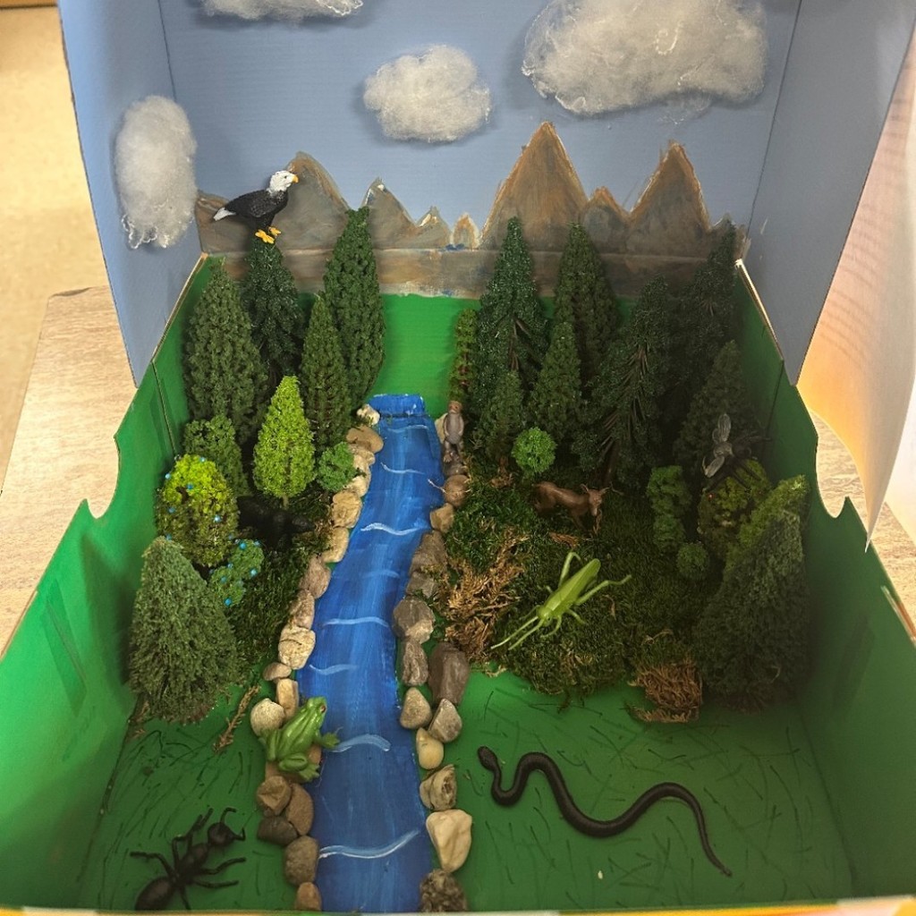 7th grade Science Project Habitat 