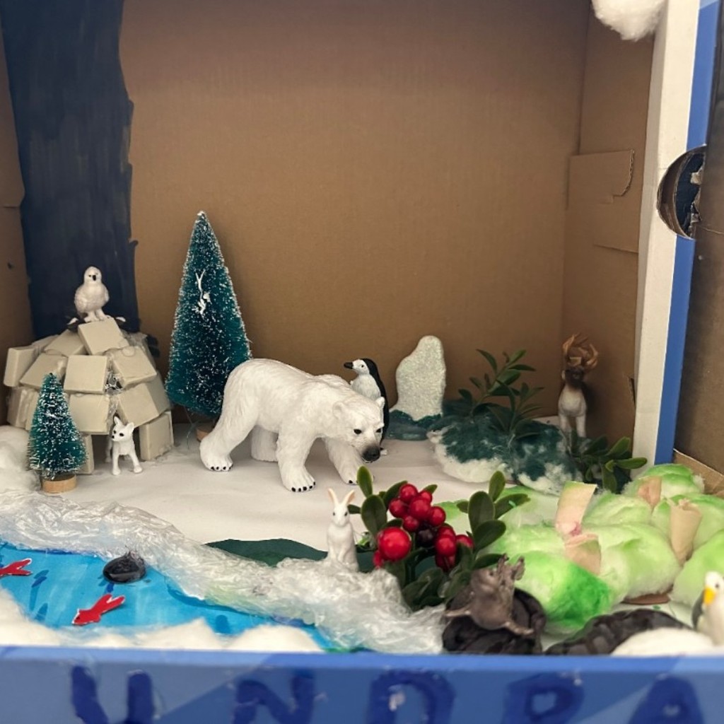 7th grade Science Project Habitat