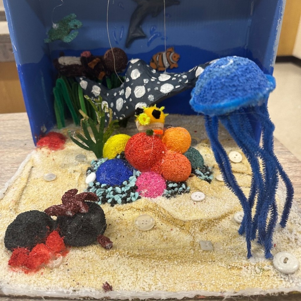 7th grade Science Project Habitat 