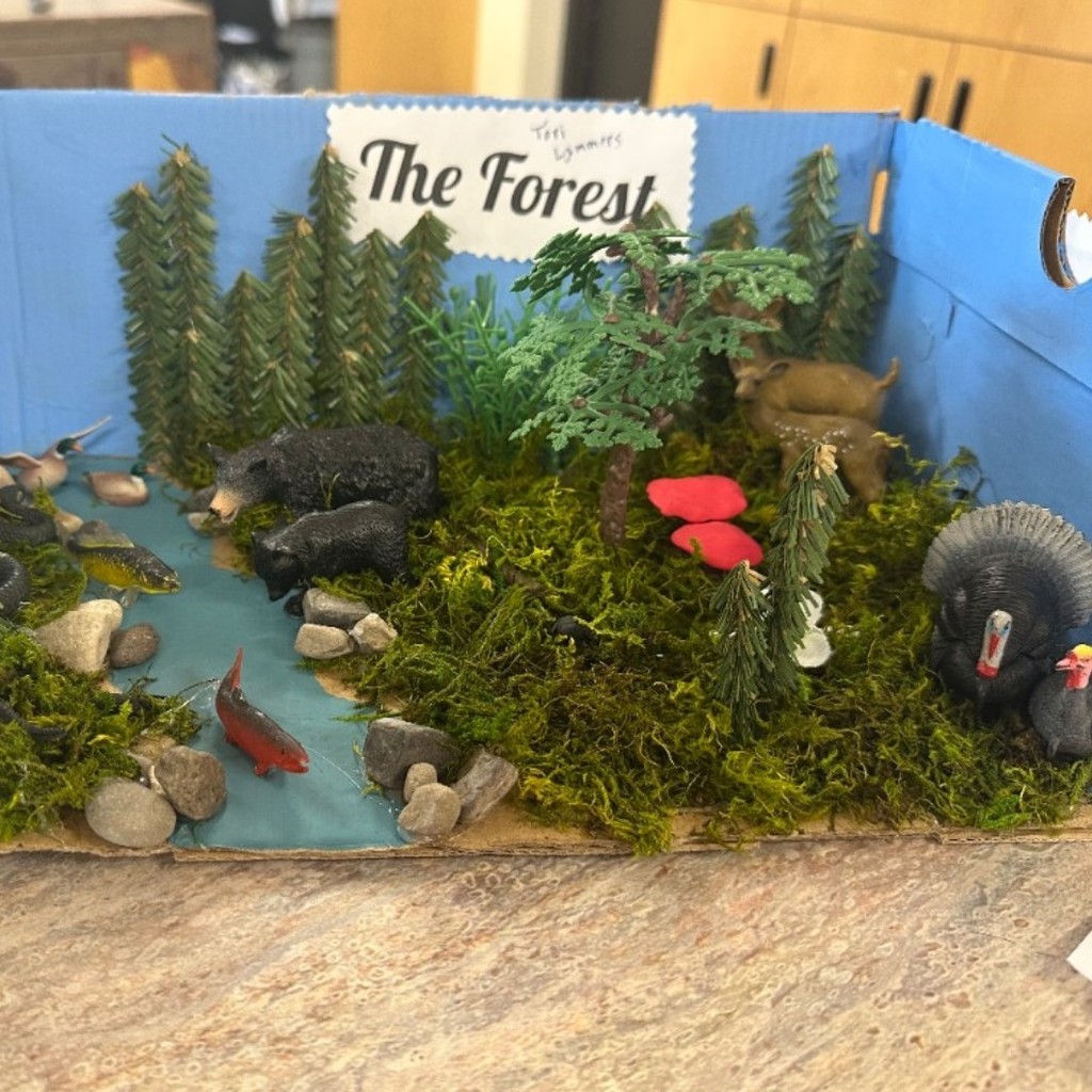 7th grade Science Project Habitat 