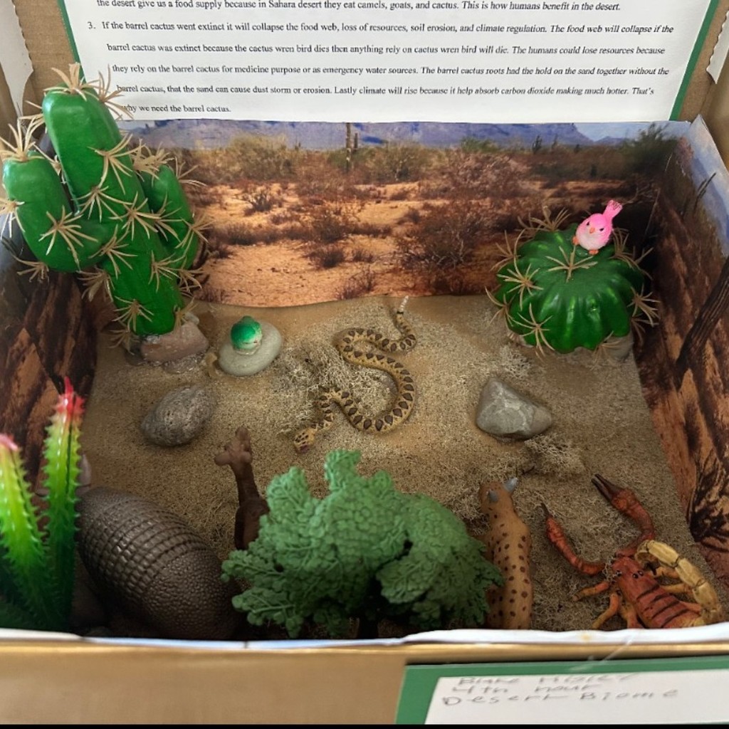 7th grade Science Project 