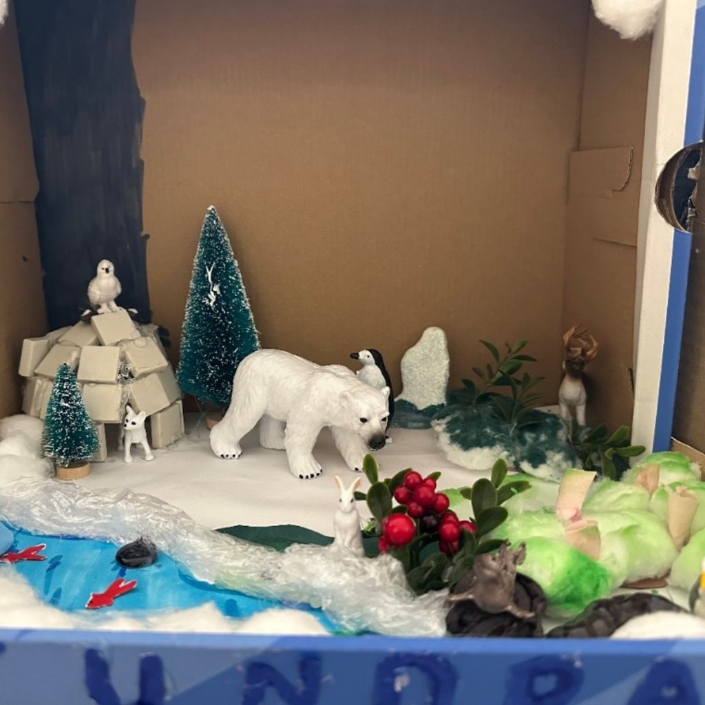 7th grade Science Project Habitat 