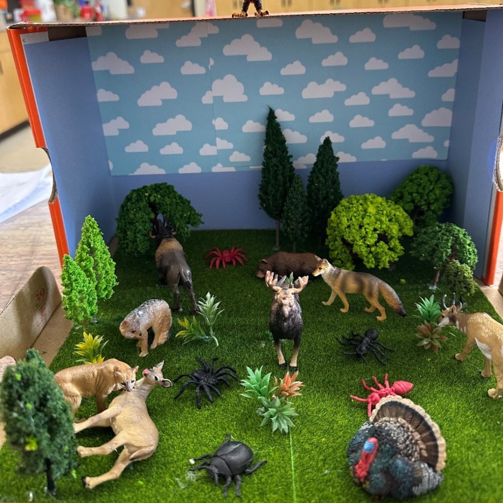 7th grade Science Project Habitat 