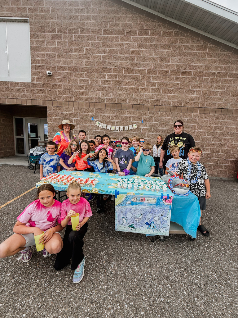 3rd grade lemonade war 
