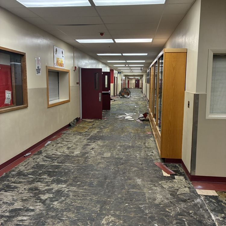 Minico Flooring project 