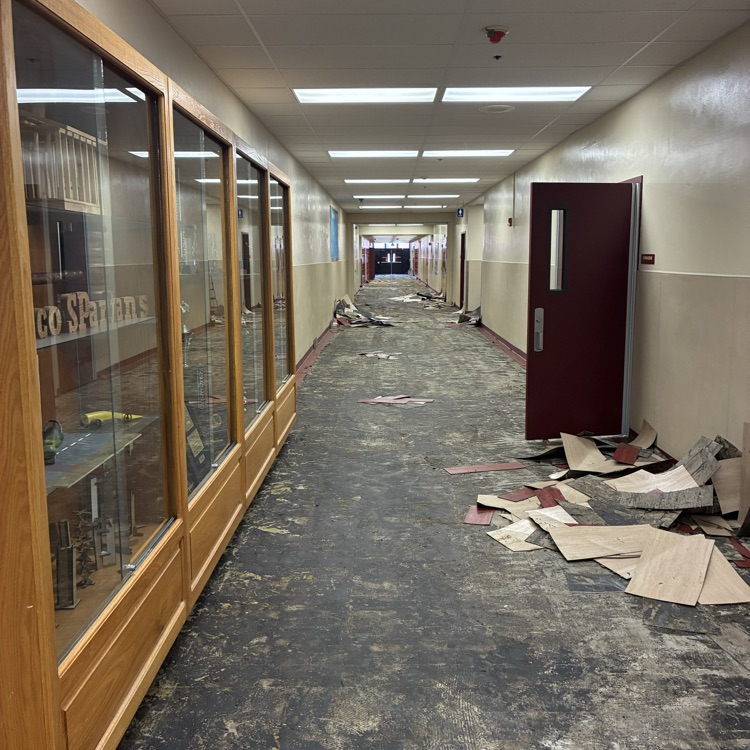 Minico Flooring project