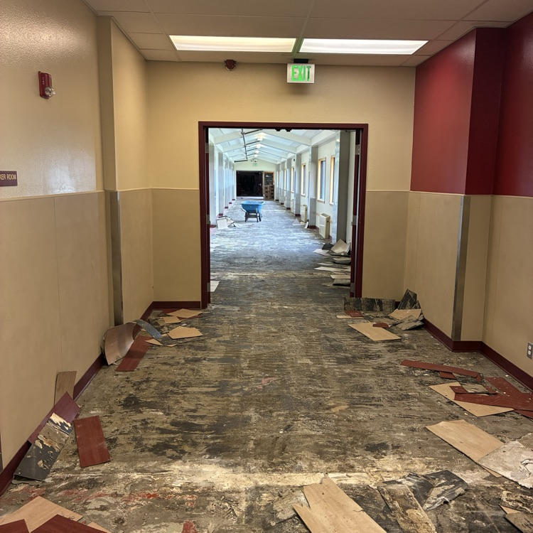 Minico Flooring project