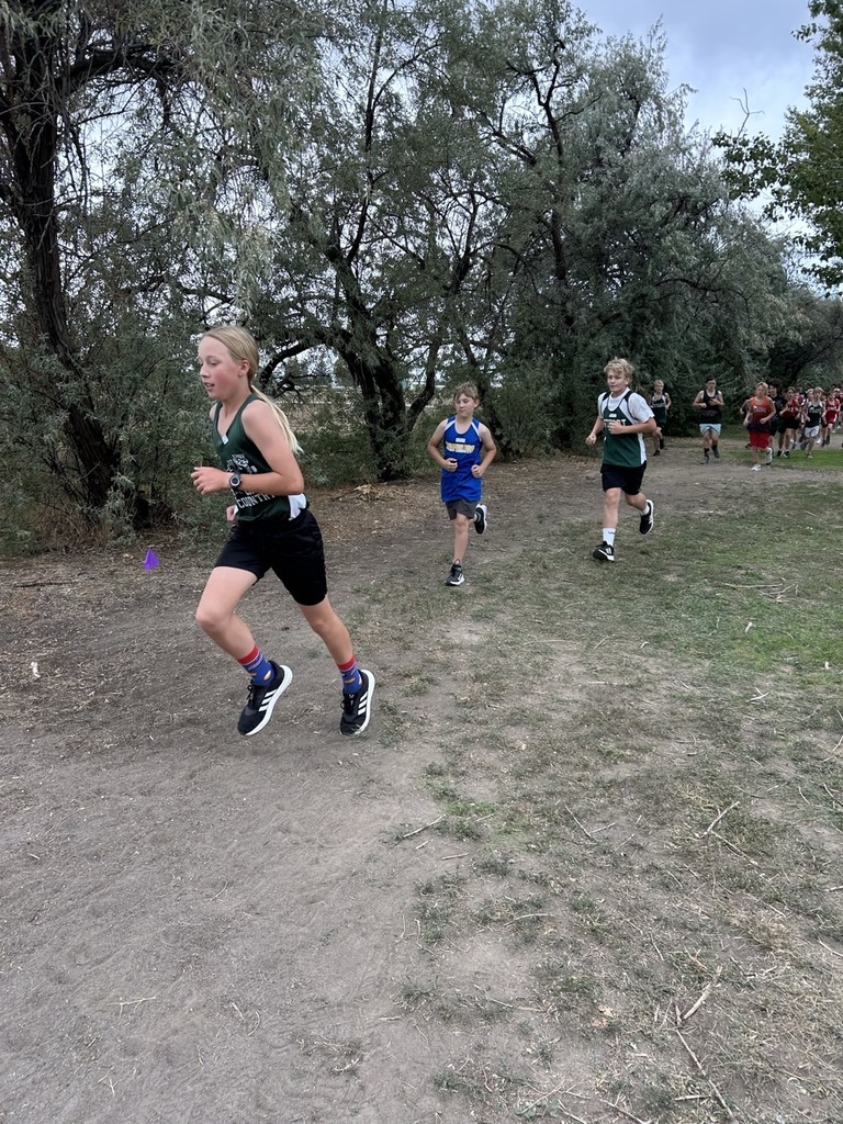 XC West Minico Runner
