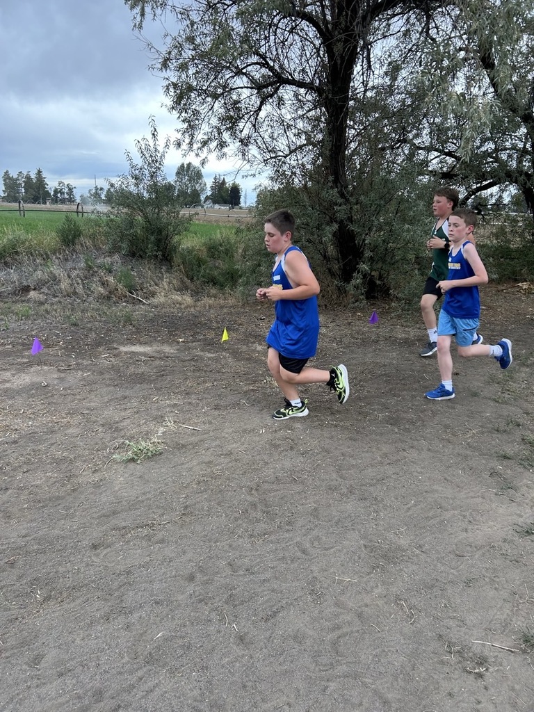 XC West Minico Runners