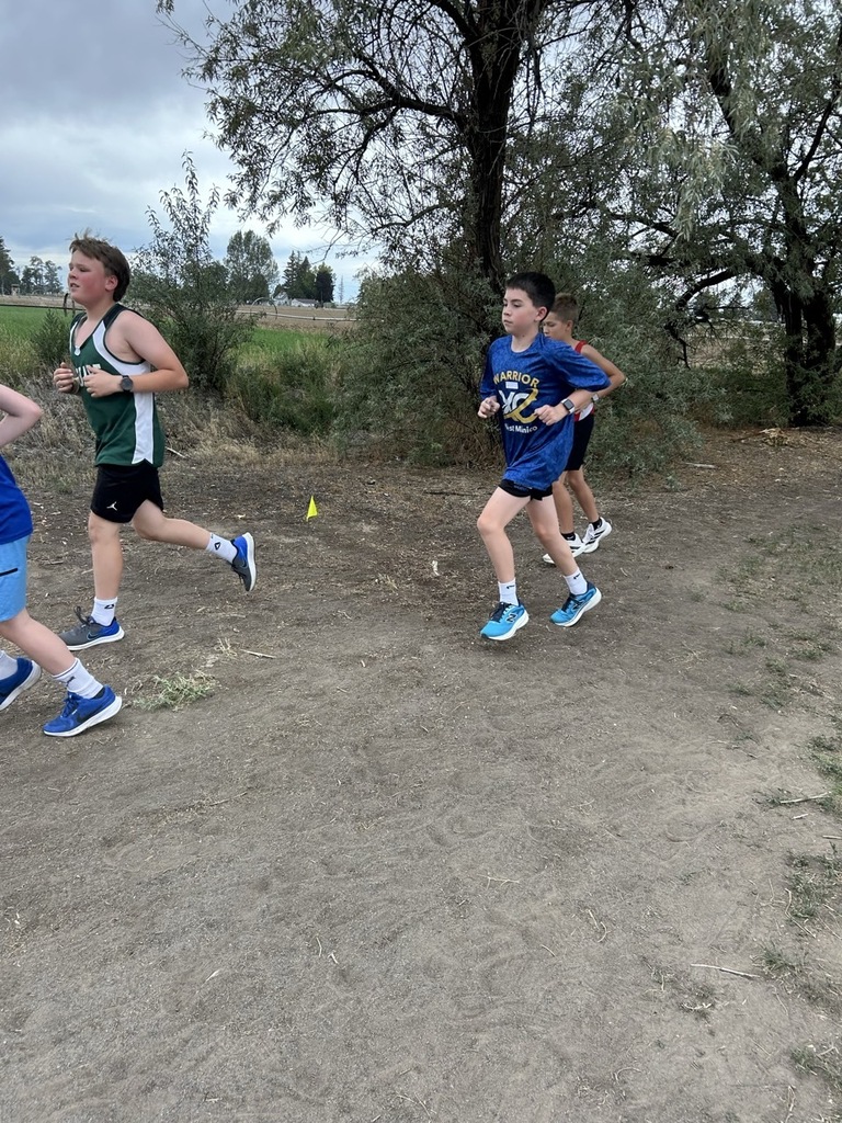 XC West Minico runners