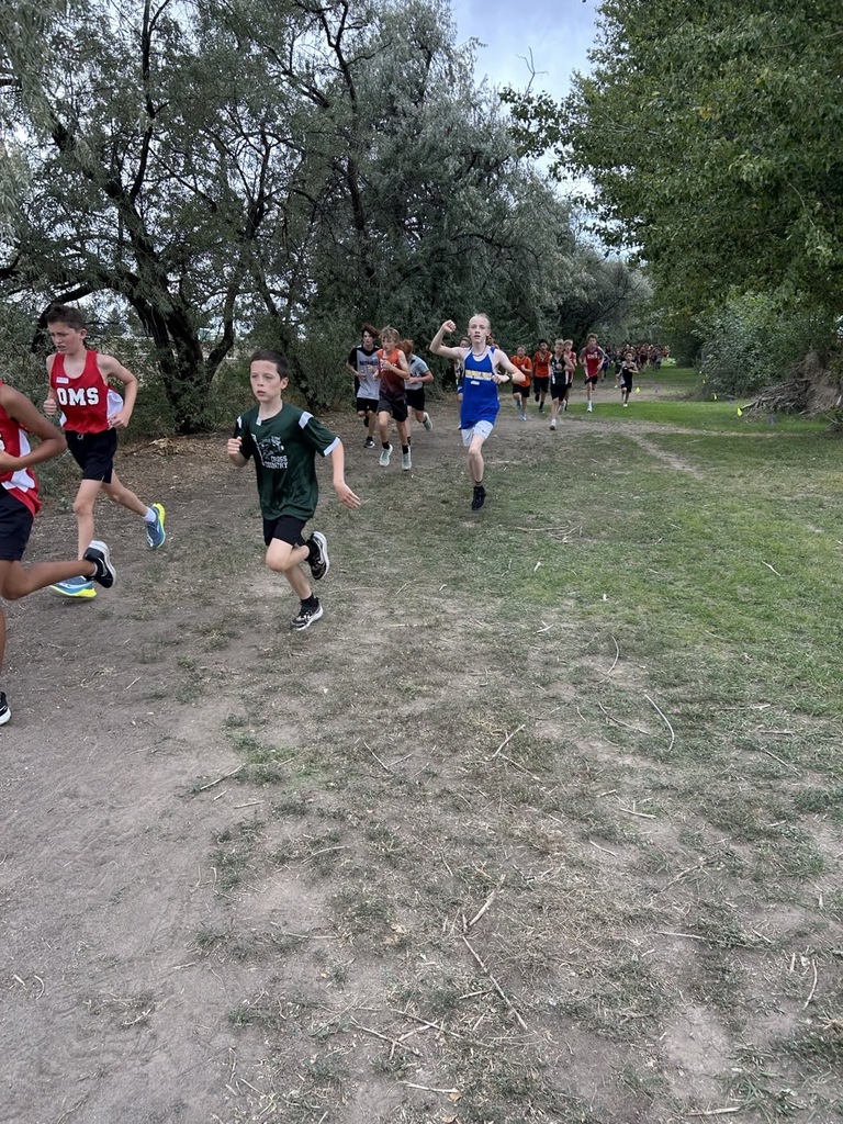 XC West Minico Runner