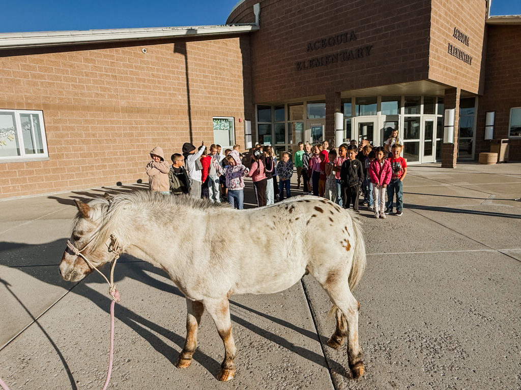 ag in the classroom