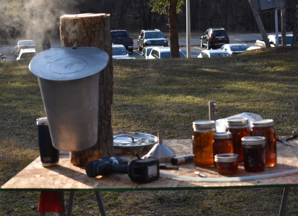 maple syrup materials