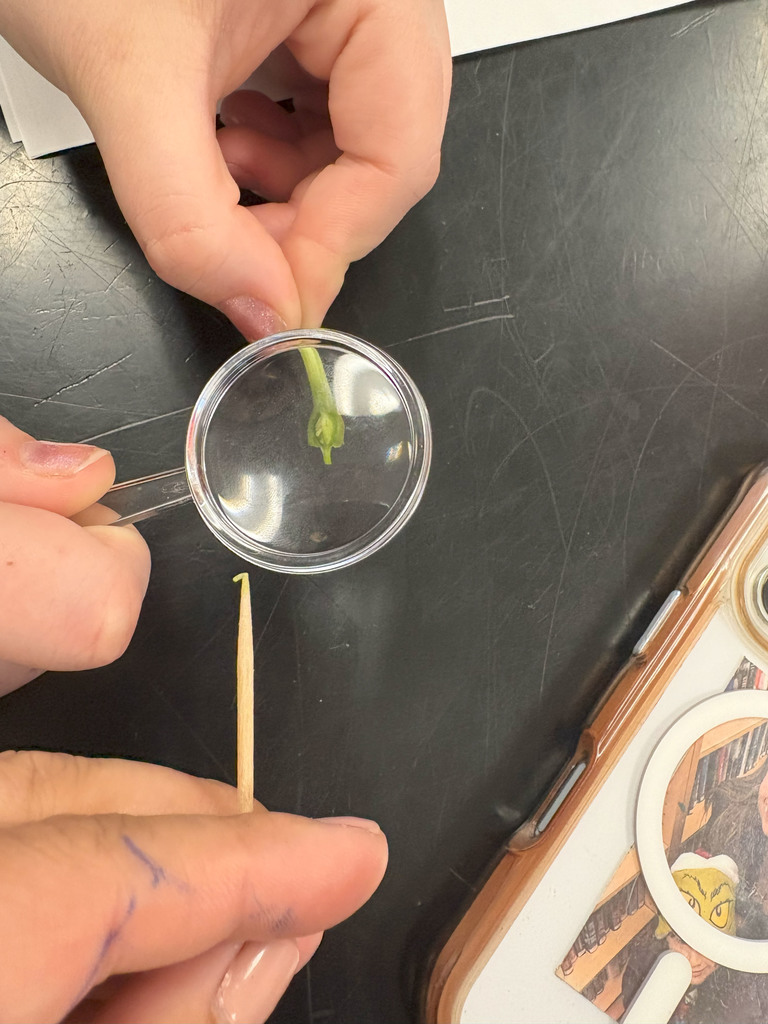 science work