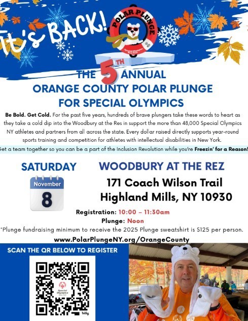 polar bear plunge artwork