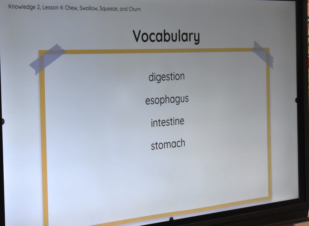 vocabulary words