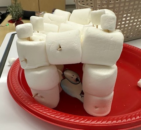 marshmallow project