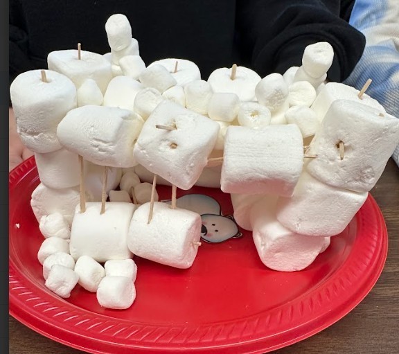 marshmallow project