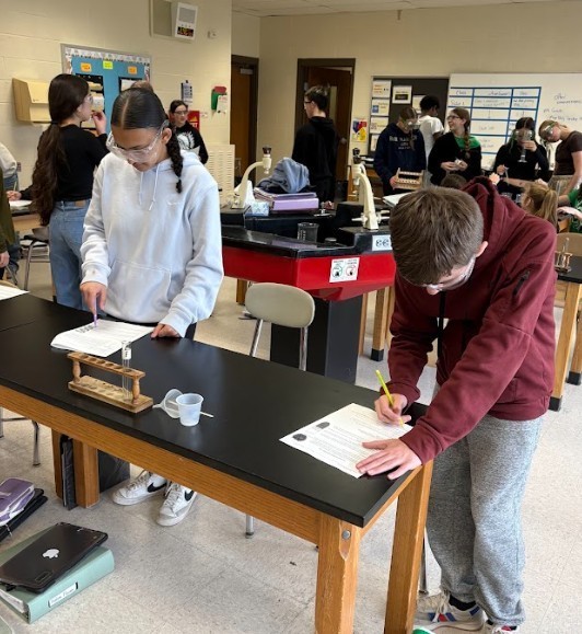 strawberry lab work