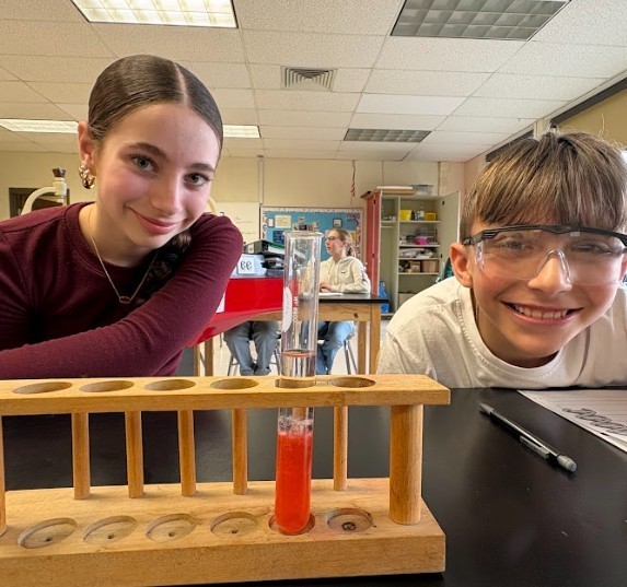 strawberry lab work