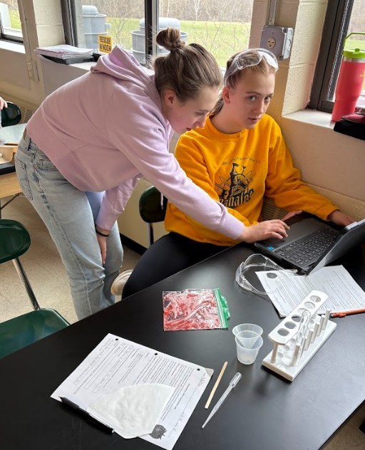 strawberry lab work