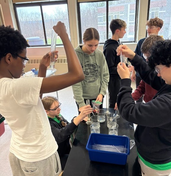 strawberry lab work