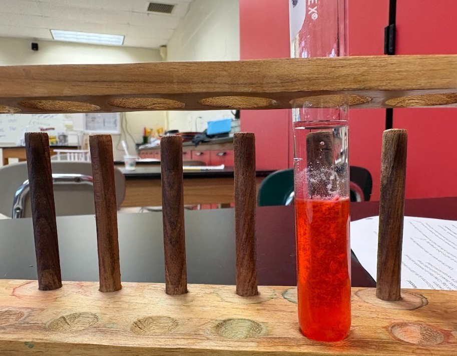 strawberry lab work